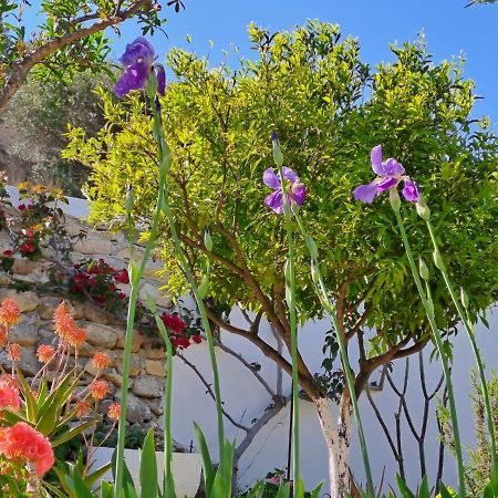 Arhondia House Villa Ierápetra Buitenkant foto