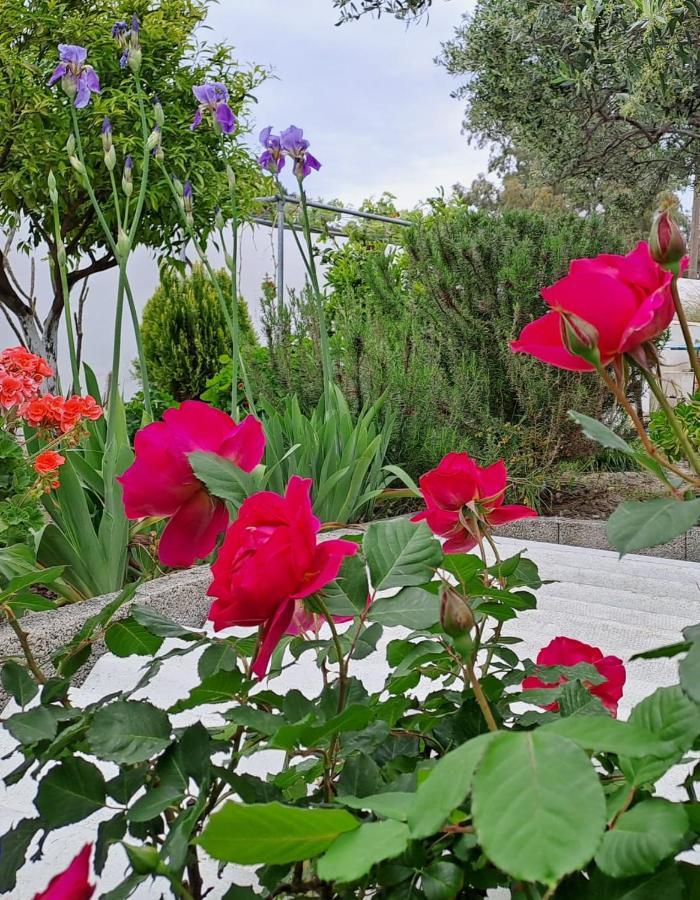 Arhondia House Villa Ierápetra Buitenkant foto