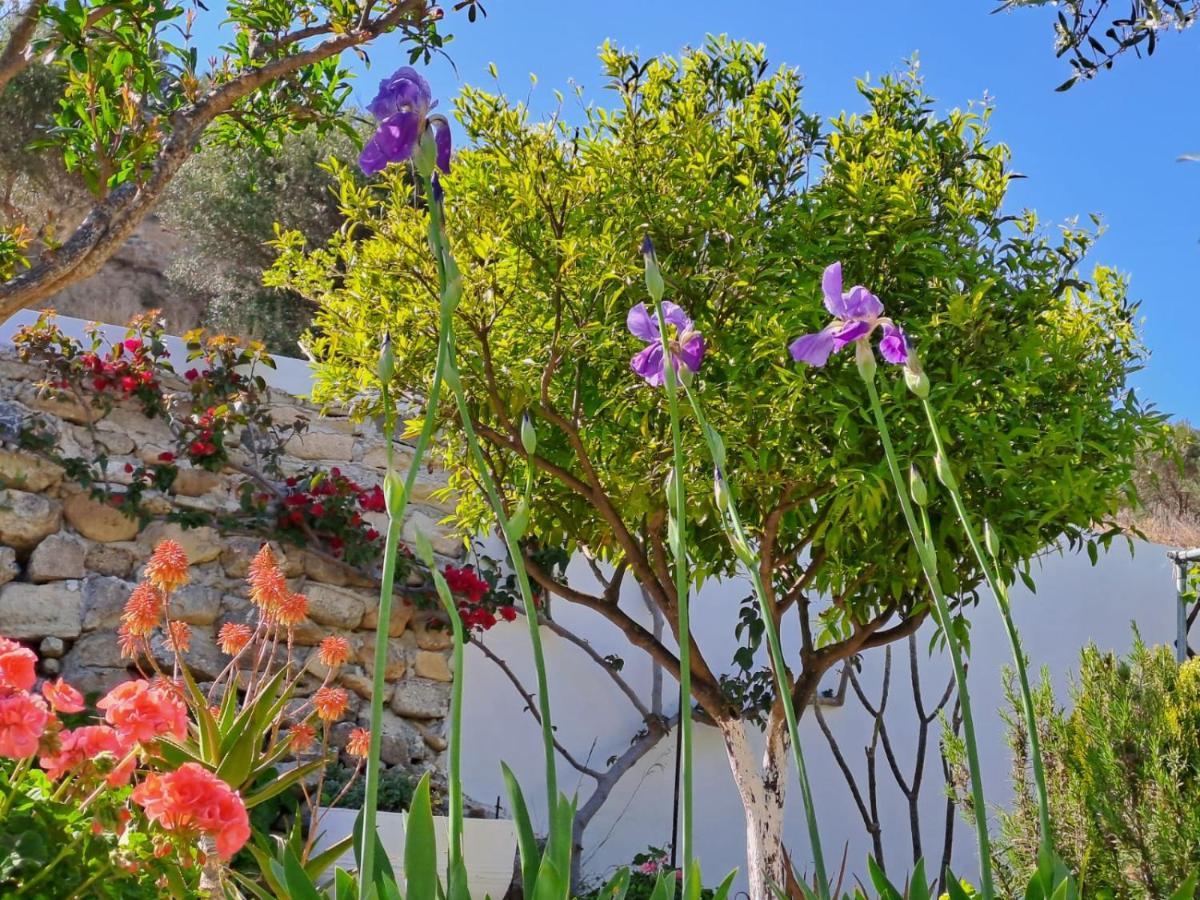Arhondia House Villa Ierápetra Buitenkant foto